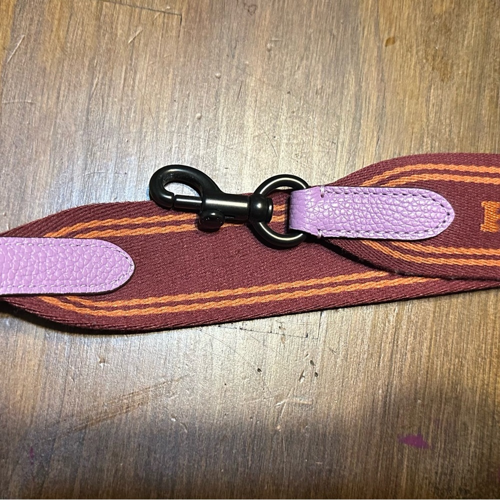 Coach webbing strap